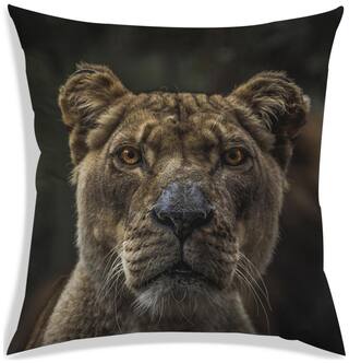 RADANYA Printed Polyester Brown Cushion Cover ( Small , Pack of 1 )