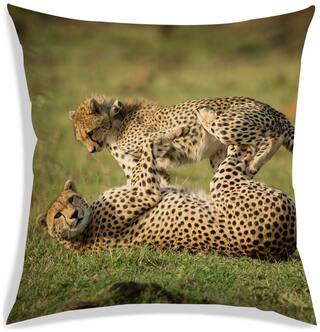 RADANYA Printed Cushion Cover 18x18 inch