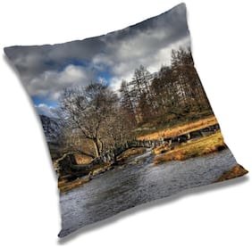 RADANYA Printed Cushion Cover with Filler Set 24x24 inch