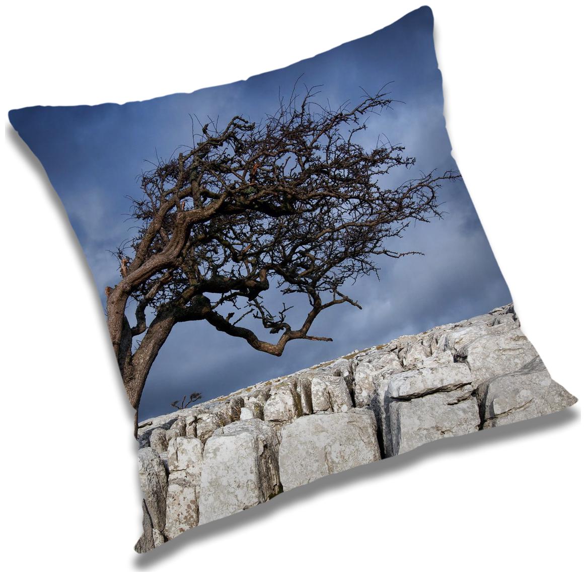 https://assetscdn1.paytm.com/images/catalog/product/H/HO/HOMRADANYA-PRINRADA993403C7D63638/1563118345527_0..jpg