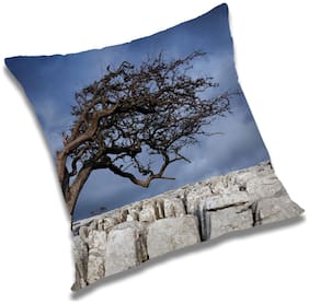 RADANYA Printed Cushion Cover with Filler Set 20x20 inch