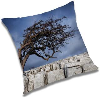 RADANYA Printed Cushion Cover with Filler Set 20x20 inch