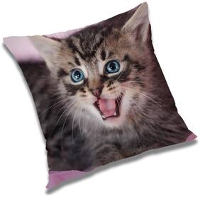 RADANYA Printed Cushion Cover with Filler Set 20x20 inch