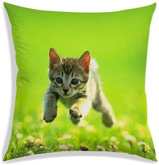 RADANYA Printed Polyester Green Cushion Cover ( Extra large , Pack of 1 )