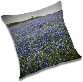RADANYA Printed Cushion Cover with Filler Set 24x24 inch
