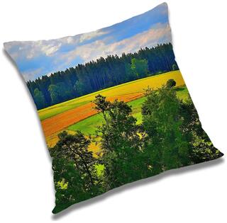 RADANYA Printed Cushion Cover with Filler Set 24x24 inch