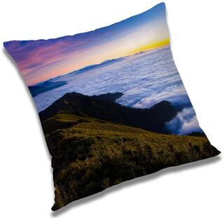 RADANYA Printed Cushion Cover with Filler Set 20x20 inch