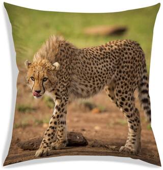 RADANYA Printed Cushion Cover 12x12 inch