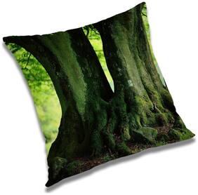 RADANYA Printed Cushion Cover with Filler Set 12x12 inch