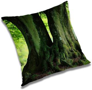 RADANYA Printed Cushion Cover with Filler Set 12x12 inch