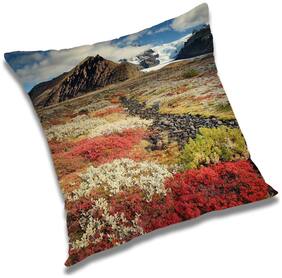 RADANYA Printed Cushion Cover with Filler Set 16x16 inch