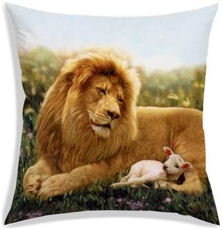 RADANYA Printed Cushion Cover 16x16 inch