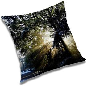 RADANYA Printed Cushion Cover with Filler Set 12x12 inch