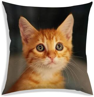 RADANYA Printed Polyester Yellow Cushion Cover ( Large , Pack of 1 )
