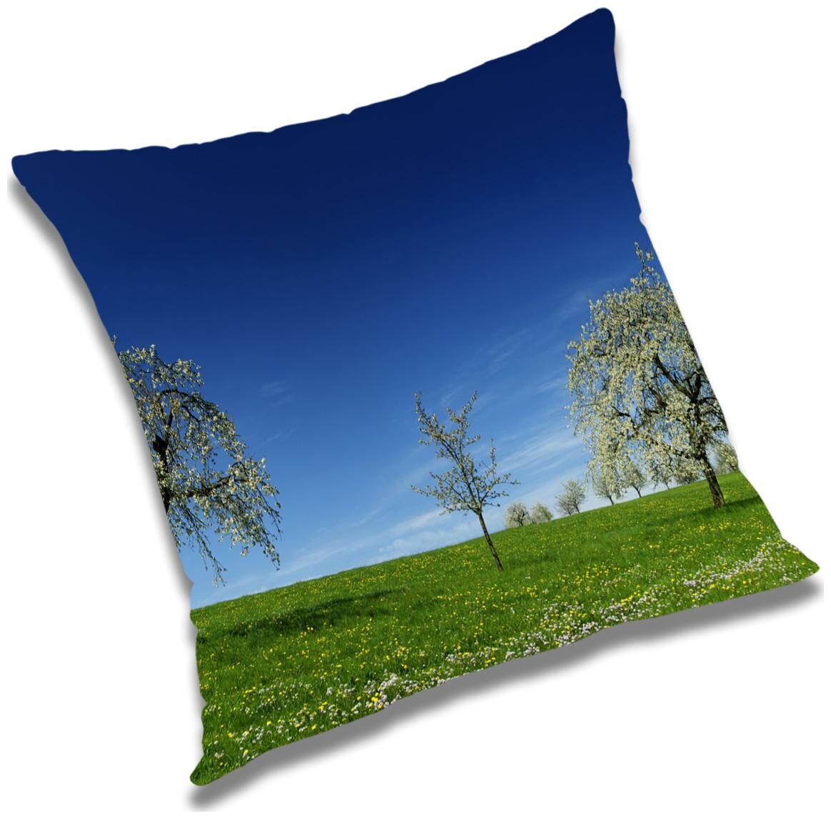 https://assetscdn1.paytm.com/images/catalog/product/H/HO/HOMRADANYA-PRINRADA993403DC0FF697/1563045815074_0..jpg