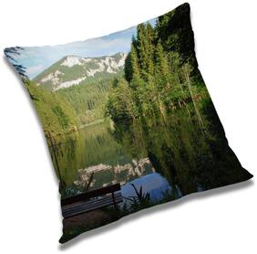 RADANYA Printed Cushion Cover with Filler Set 16x16 inch