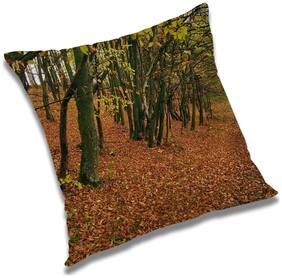 RADANYA Printed Cushion Cover with Filler Set 18x18 inch