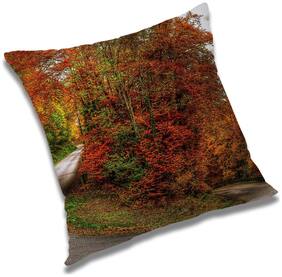 RADANYA Printed Cushion Cover with Filler Set 12x12 inch