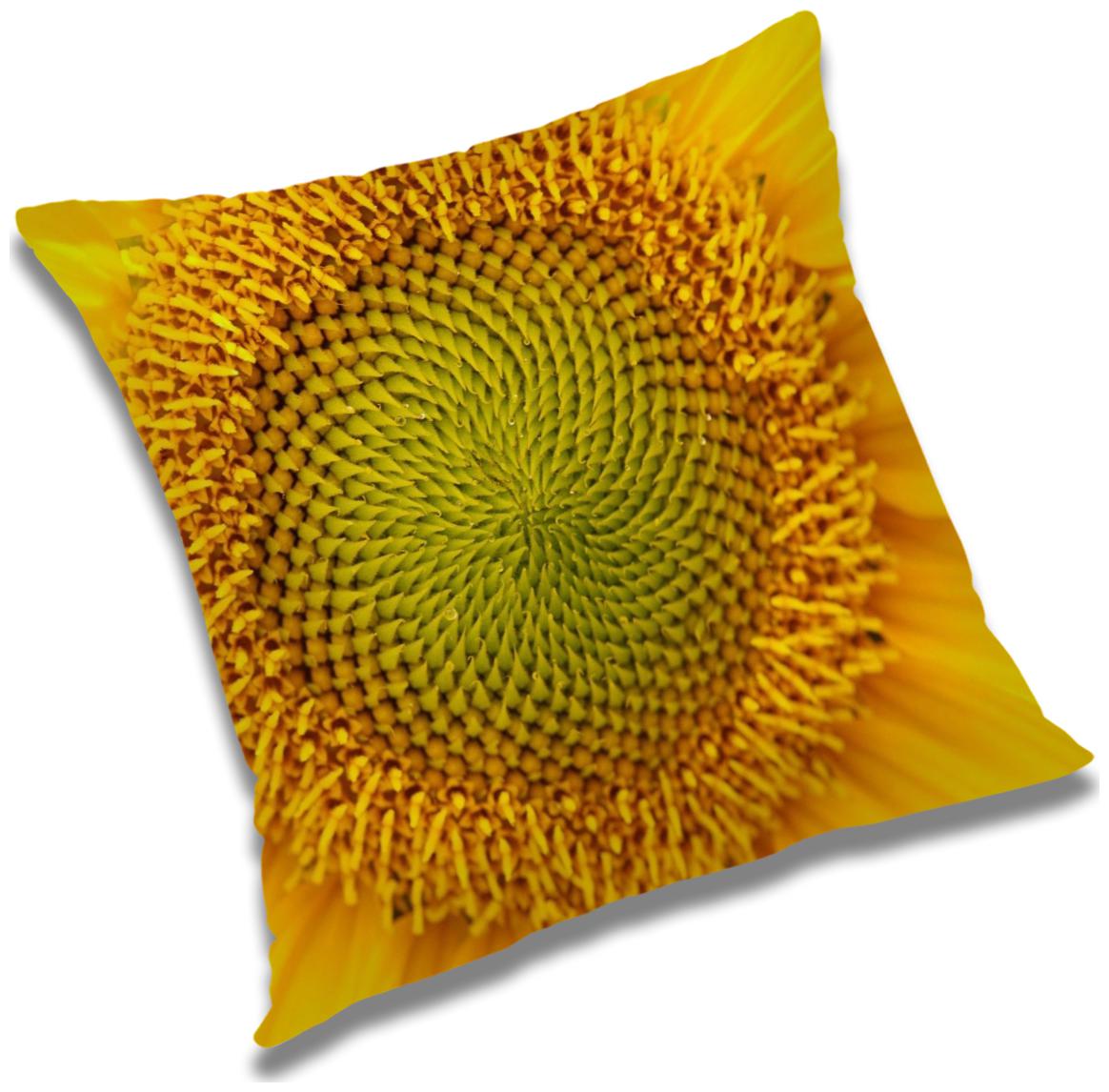 https://assetscdn1.paytm.com/images/catalog/product/H/HO/HOMRADANYA-PRINRADA993403DF09CDE8/1563045718072_0..jpg
