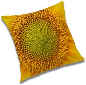 RADANYA Printed Cushion Cover with Filler Set 18x18 inch