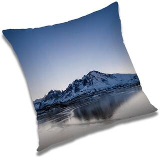 RADANYA Printed Cushion Cover with Filler Set 12x12 inch