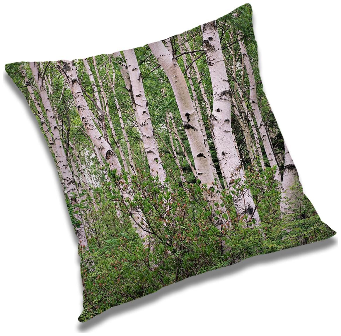 https://assetscdn1.paytm.com/images/catalog/product/H/HO/HOMRADANYA-PRINRADA993403E0097AC1/1563045884717_0..jpg