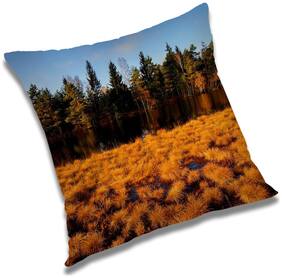 RADANYA Printed Cushion Cover with Filler Set 24x24 inch