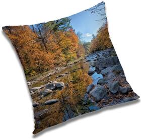 RADANYA Printed Cushion Cover with Filler Set 16x16 inch