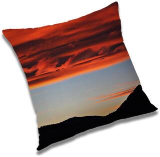 RADANYA Printed Cushion Cover with Filler Set 16x16 inch