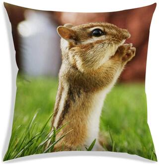 RADANYA Printed Cushion Cover 20x20 inch