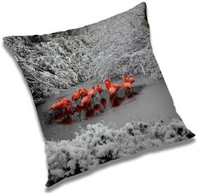RADANYA Printed Cushion Cover with Filler Set 12x12 inch
