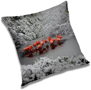 RADANYA Printed Cushion Cover with Filler Set 12x12 inch