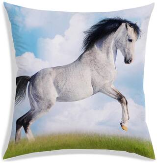 RADANYA Printed Cushion Cover 16x16 inch