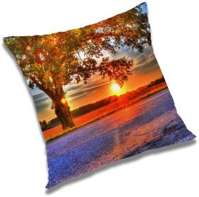 RADANYA Printed Cushion Cover with Filler Set 24x24 inch