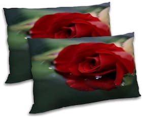 RADANYA Polyester Printed Pillow Covers ( Pack of 2 , Multi )