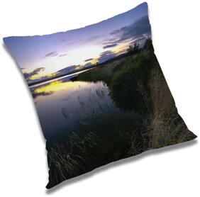 RADANYA Printed Cushion Cover with Filler Set 24x24 inch