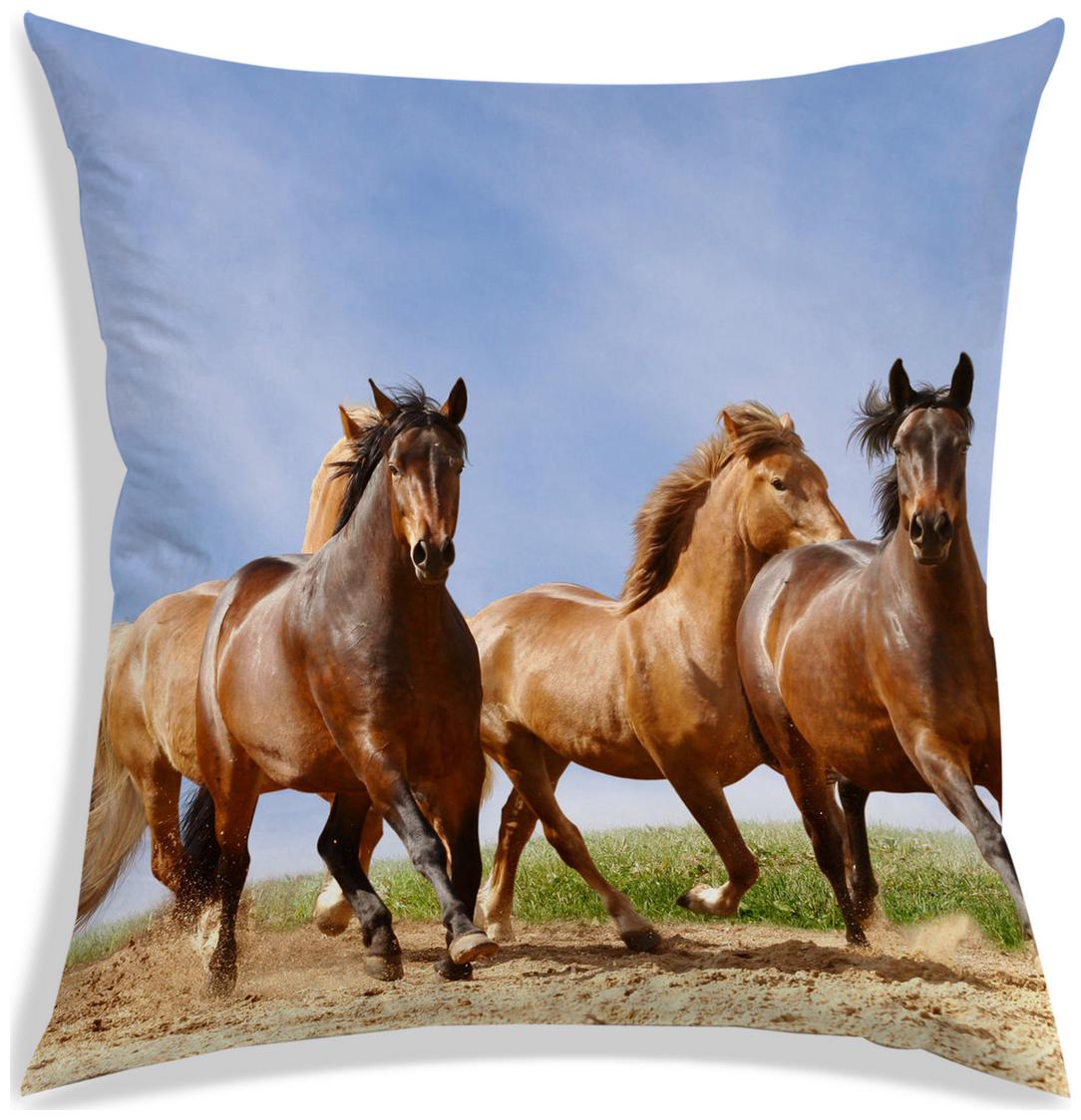 https://assetscdn1.paytm.com/images/catalog/product/H/HO/HOMRADANYA-PRINRADA993403EAA5FEE6/1563048318108_0..jpg