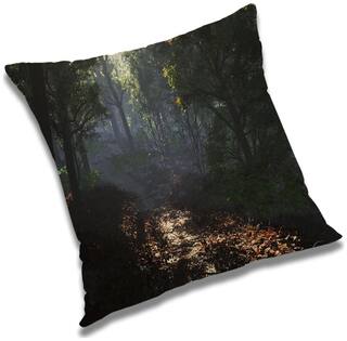 RADANYA Printed Cushion Cover with Filler Set 12x12 inch