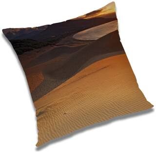 RADANYA Printed Cushion Cover with Filler Set 18x18 inch