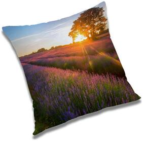 RADANYA Printed Cushion Cover with Filler Set 24x24 inch