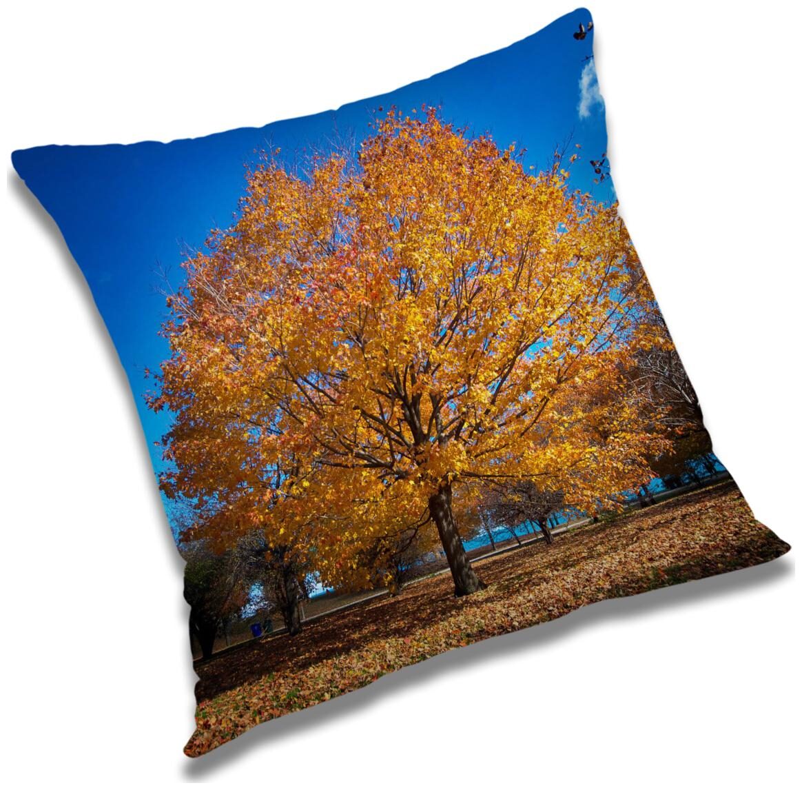 https://assetscdn1.paytm.com/images/catalog/product/H/HO/HOMRADANYA-PRINRADA993403ED011235/1563045789236_0..jpg