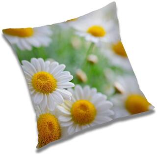RADANYA Printed Cushion Cover with Filler Set 24x24 inch