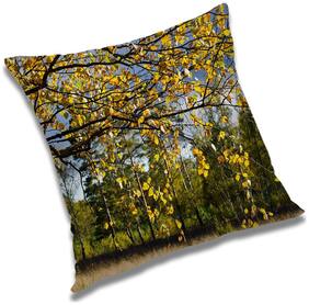 RADANYA Printed Cushion Cover with Filler Set 12x12 inch