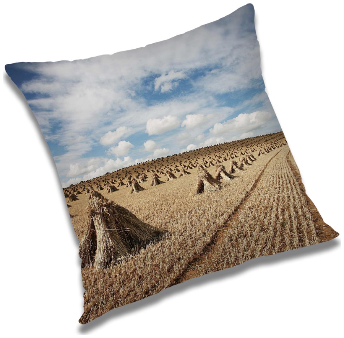 

RADANYA Printed Cushion Cover with Filler Set 16x16 inch