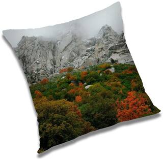 RADANYA Printed Cushion Cover with Filler Set 12x12 inch
