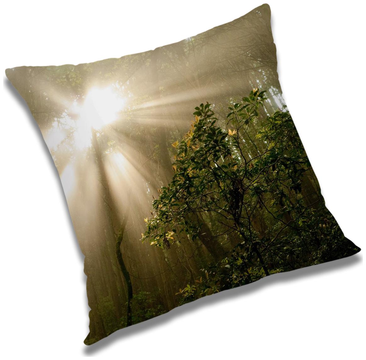 https://assetscdn1.paytm.com/images/catalog/product/H/HO/HOMRADANYA-PRINRADA993403F274E677/1563117869667_0..jpg