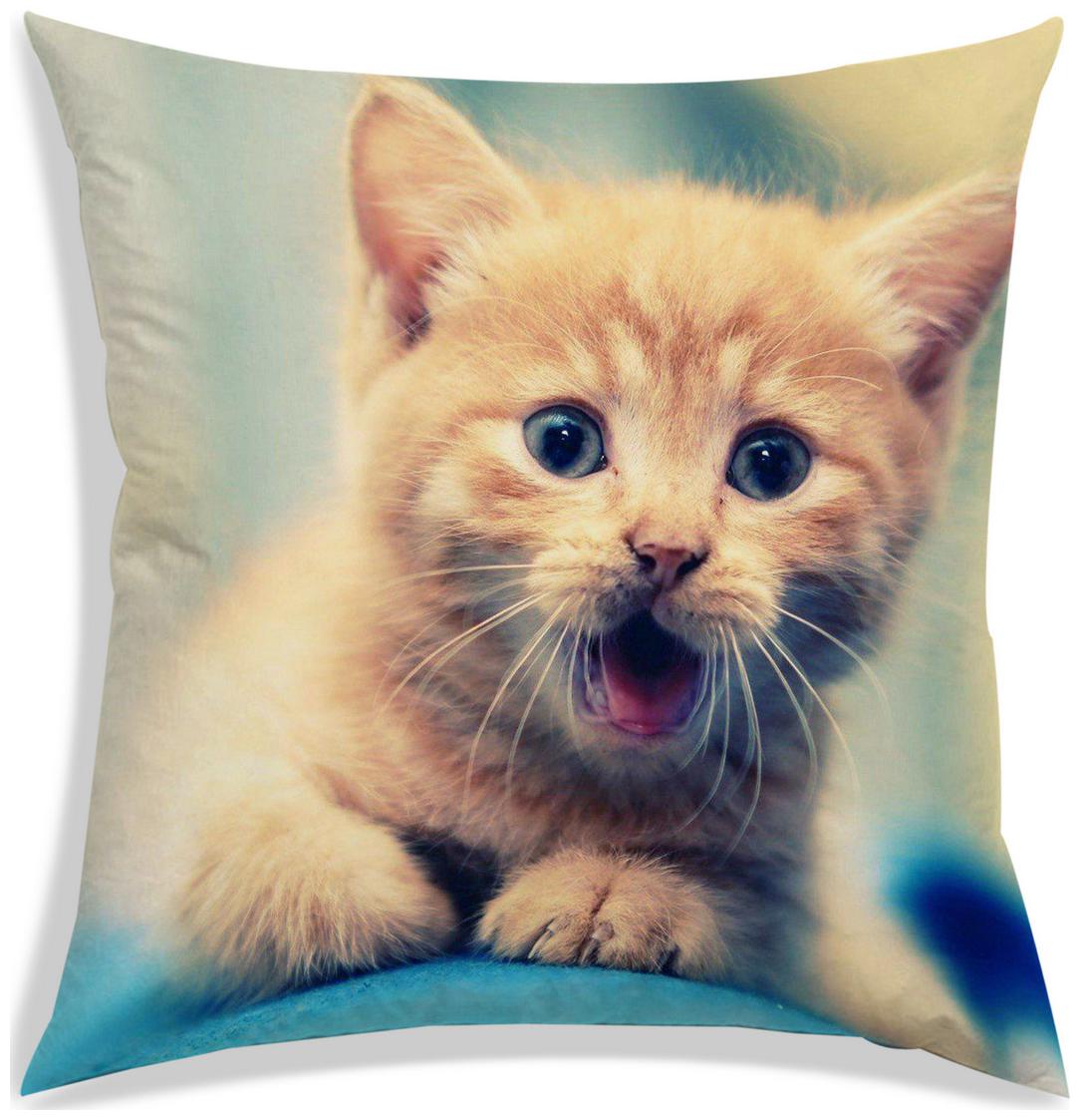 https://assetscdn1.paytm.com/images/catalog/product/H/HO/HOMRADANYA-PRINRADA993403F472E422/1563047936512_0..jpg