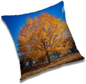 RADANYA Printed Cushion Cover with Filler Set 18x18 inch