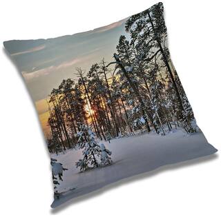 RADANYA Printed Cushion Cover with Filler Set 20x20 inch