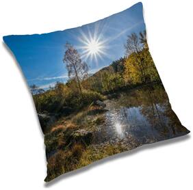 RADANYA Printed Cushion Cover with Filler Set 12x12 inch